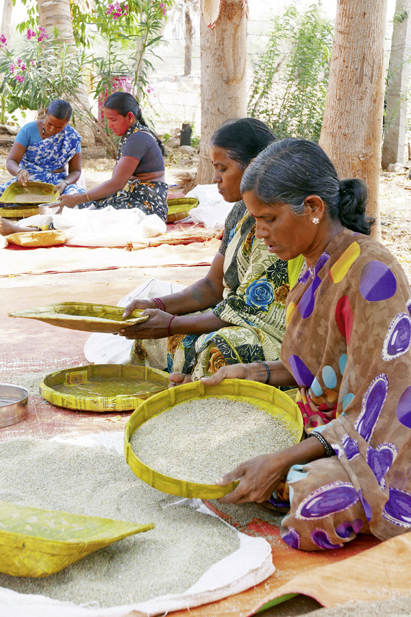 Handarbeit in Timbaktu: Frauen reinigen Hülsenfrüchte von Steinen und Unkraut.